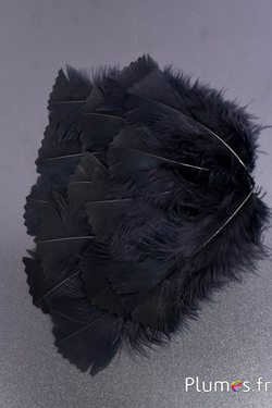 Dinde crantée - 6-8 cm - noir